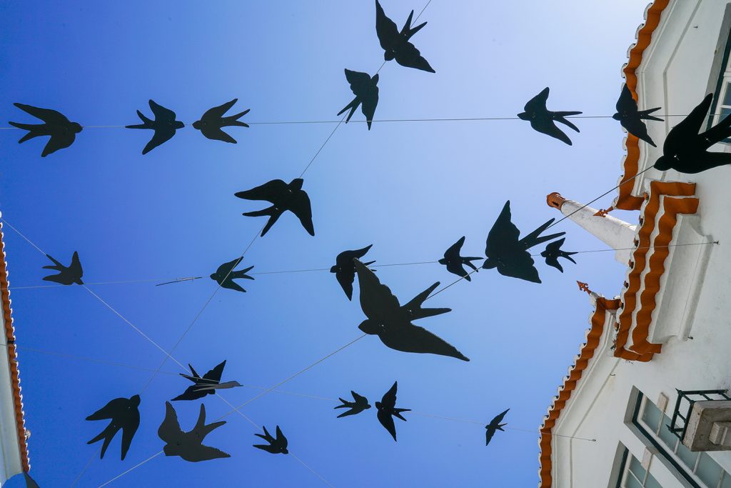 instalação de andorinhas no pátio do museu 