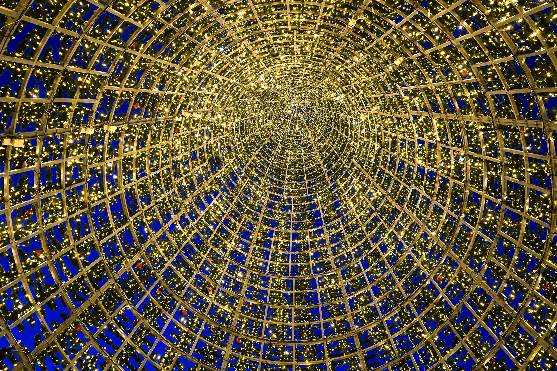 interior of 1 Christmas tree made of lights