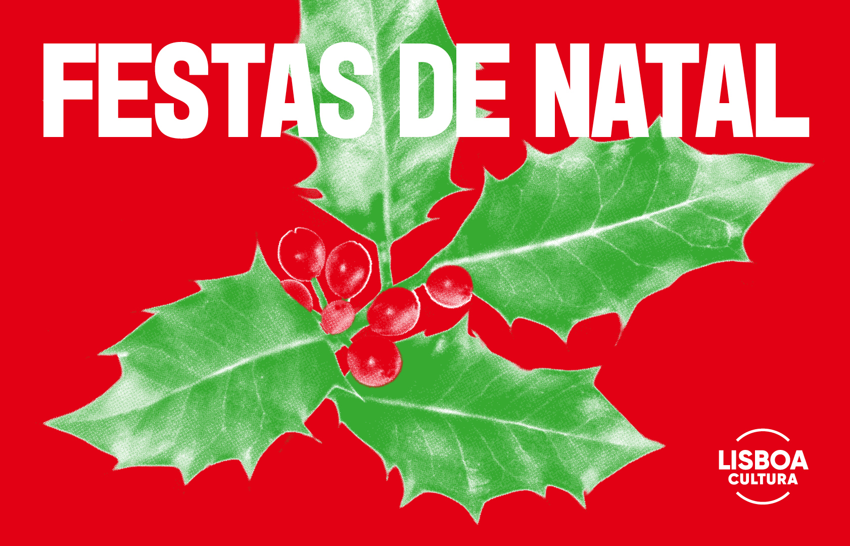 Festas de Natal 2024. Músicas natalícias para todos os ouvidos