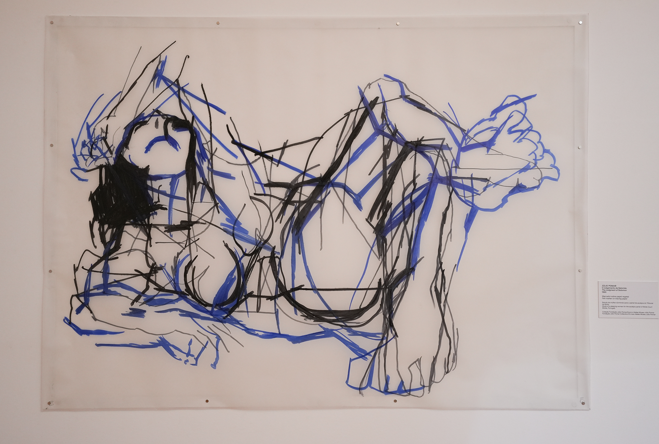 drawing of 1 woman lying on the floor with her legs traced