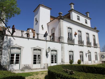 Fotografia tirada do Jardim Bordallo Pinheiro a uma das fachadas do Palácio Pimenta